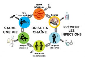 Infographie du cycle de contamination illustrant les risques liés à l'hygiène et aux bactéries.