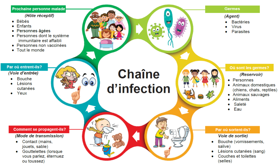 Diagramme de la chaîne d'infection illustrant les risques liés aux virus et contaminations.