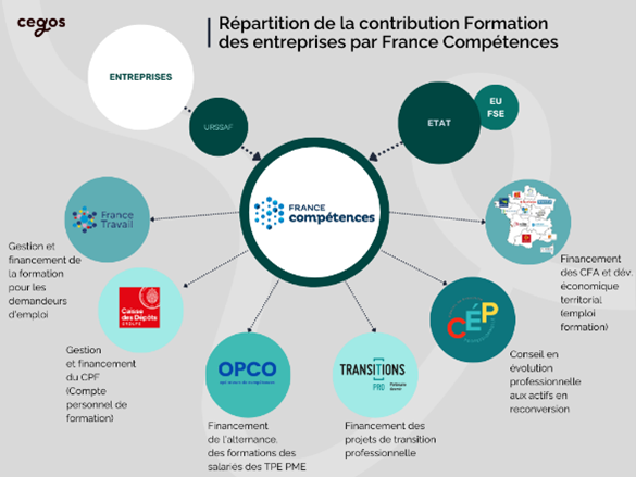Schéma explicatif du financement des formations par les OPCO et de la mutualisation des fonds.